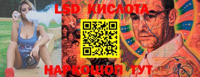 PSILOCYBIN Пушкино