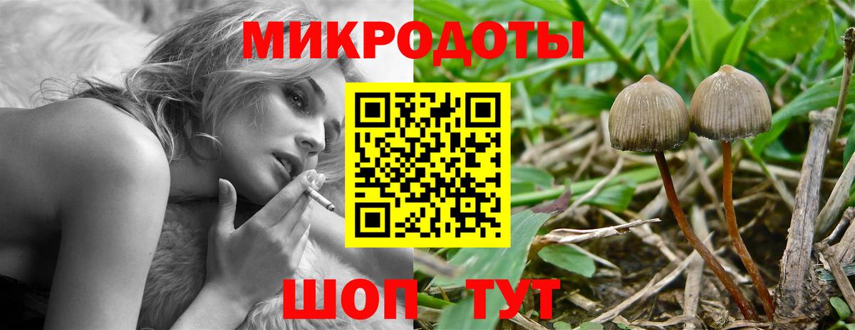 Галлюциногенные грибы GOLDEN TEACHER Ростов-на-Дону